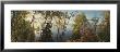 Trees In Front Of A Lake, Minnesota, Usa by Panoramic Images Limited Edition Print