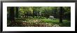 Flowers In A Park, Central Park, Manhattan, New York, Usa by Panoramic Images Limited Edition Pricing Art Print
