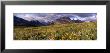 Flowers In A Field, Glacier National Park, Montana, Usa by Panoramic Images Limited Edition Pricing Art Print