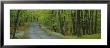 Empty Road Passing Through A Forest, Peninsula State Park, Door County, Wisconsin, Usa by Panoramic Images Limited Edition Pricing Art Print