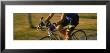 Woman Cycling by Panoramic Images Limited Edition Print