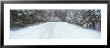 Snow Covered Road, Kent County, Michigan, Usa by Panoramic Images Limited Edition Pricing Art Print