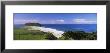 Beach At Big Sur, Monterey, California, Usa by Panoramic Images Limited Edition Pricing Art Print