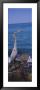 Great Blue Heron Perching On A Rock, Gulf Of Mexico, Florida, Usa by Panoramic Images Limited Edition Print