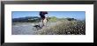 Man Riding A Bicycle, Bolinas Ridge, Marin County, California, Usa by Panoramic Images Limited Edition Print