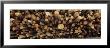 Stack Of Logs, British Columbia, Canada by Panoramic Images Limited Edition Print