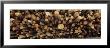 Stack Of Logs, British Columbia, Canada by Panoramic Images Limited Edition Pricing Art Print