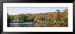 Deciduous Trees Along Moose River, Adirondack Mountains, Adirondack State Park, New York, Usa by Panoramic Images Limited Edition Print