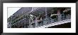 Potted Plants Hanging From Balconies, French Quarter, New Orleans, Louisiana, Usa by Panoramic Images Limited Edition Print