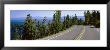 Pine Trees On Both Sides Of Highway 89, Lake Tahoe, California, Usa by Panoramic Images Limited Edition Print