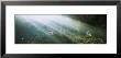 Sunbeams Shining On Rocks, Belize by Panoramic Images Limited Edition Print