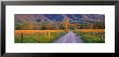 Road At Sundown, Cades Cove, Great Smoky Mountains National Park, Tennessee, Usa by Panoramic Images Limited Edition Pricing Art Print