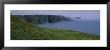 Grass On An Island, Elliston, Bonavista Peninsula, Newfoundland And Labrador, Canada by Panoramic Images Limited Edition Print