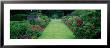 Gardens At Levens Hall, Cumbria, England, United Kingdom by Panoramic Images Limited Edition Print