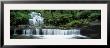 Liffey Falls, Tasmania, Australia by Panoramic Images Limited Edition Pricing Art Print