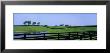 Horse Farm, Kentucky, Usa by Panoramic Images Limited Edition Print