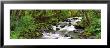 Olympic National Park, Washington State, Usa by Panoramic Images Limited Edition Print