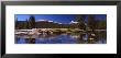Pine Trees Near A River, Tuolumne River, Yosemite National Park, California, Usa by Panoramic Images Limited Edition Print
