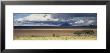 Landscape, Tanzania, Africa by Panoramic Images Limited Edition Print