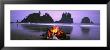 Bonfire On The Beach, Point Of The Arches, Shi-Shi Beach, Washington State, Usa by Panoramic Images Limited Edition Print