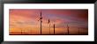 Wind Turbine In The Barren Landscape, Brazos, Texas, Usa by Panoramic Images Limited Edition Print