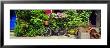 Bicycle In Front Of Wall Covered With Plants And Flowers, Rochefort En Terre, France by Panoramic Images Limited Edition Pricing Art Print