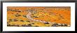 Road Through Poppy Blossoms, Goldfields, Antelope Valley, California, Usa by Panoramic Images Limited Edition Pricing Art Print