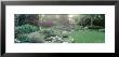 Plants In A Garden, Backyard Suburban Garden, Illinois, Usa by Panoramic Images Limited Edition Print