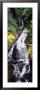 Waterfall In The Forest, Moss Glen Falls, Cc Putnam State Forest, Stowe, Vermont, Usa by Panoramic Images Limited Edition Pricing Art Print
