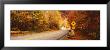 Autumn Road With Bear At Deer Crossing Sign, Vermont, Usa by Panoramic Images Limited Edition Print