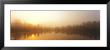 Misty Morning, Volvo Bog, Illinois, Usa by Panoramic Images Limited Edition Print