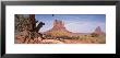 Close-Up Of A Gnarled Tree With West And East Mitten, Monument Valley, Arizona, Usa by Panoramic Images Limited Edition Print