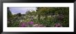 Flowers In A Garden, Foundation Claude Monet, Giverny, France by Panoramic Images Limited Edition Pricing Art Print