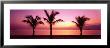 Miami Beach, Florida, Usa by Panoramic Images Limited Edition Print
