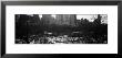 Wollman Rink Ice Skating, Central Park, New York City, New York State, Usa by Panoramic Images Limited Edition Print