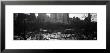 Wollman Rink Ice Skating, Central Park, New York City, New York State, Usa by Panoramic Images Limited Edition Print