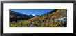 Rock Creek Canyon, Eastern Sierra Mountains, California, Usa by Panoramic Images Limited Edition Print