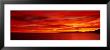 Sunrise, Water, Mulege, Baja, California, Mexico, United States by Panoramic Images Limited Edition Print
