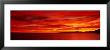 Sunrise, Water, Mulege, Baja, California, Mexico, United States by Panoramic Images Limited Edition Pricing Art Print