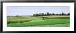 Harvesting, Farm, Frederick County, Maryland, Usa by Panoramic Images Limited Edition Pricing Art Print