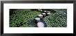 Water Lilies In A Pond, Helan Shrine, Kyoto, Japan by Panoramic Images Limited Edition Print