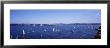 Yacht Race, Sydney Harbor, Australia by Panoramic Images Limited Edition Pricing Art Print