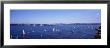 Yacht Race, Sydney Harbor, Australia by Panoramic Images Limited Edition Print