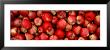 Close-Up Of Red Apples by Panoramic Images Limited Edition Print