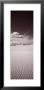 Dunes, White Sands, New Mexico, Usa by Panoramic Images Limited Edition Print
