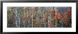 Fall Trees, Shinhodaka, Gifu, Japan by Panoramic Images Limited Edition Pricing Art Print