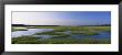 Salt Marsh, Florida, Usa by Panoramic Images Limited Edition Print