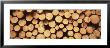 Marked Wood In A Timber Industry, Black Forest, Germany by Panoramic Images Limited Edition Pricing Art Print