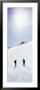 Cross Country Skiing, British Columbia, Canada by Panoramic Images Limited Edition Print