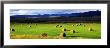 Haystacks, Field, Jackson County, Colorado, Usa by Panoramic Images Limited Edition Print